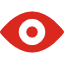 vision